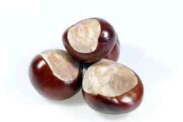 Kastanien