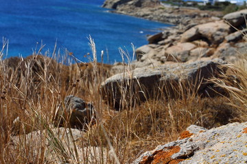 Coast of Mykonos, Greece.