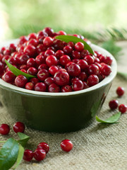 cowberry