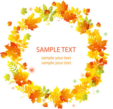 Autumn leaves background. vector banner