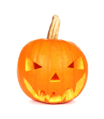 Halloween pumpkin  isolated on white background
