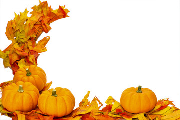 Naklejka na ściany i meble Fall or Thanksgiving or Halloween decoration isolated on white