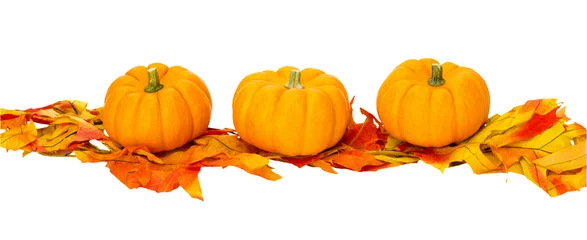 Crédence de cuisine en verre imprimé Légumes frais Fall or Thanksgiving or Halloween decoration isolated on white
