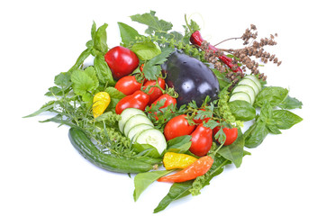 Fresh vegetables, tomatoes, arugula, basil, cucumber , Mint