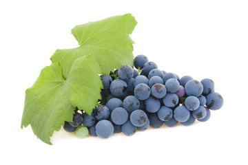 isolated cluster of grapes