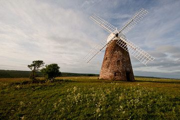 Halnaker windmill, west sussex