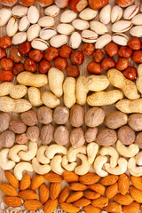 nutmeg, peanuts, hazelnuts and almonds on wooden background
