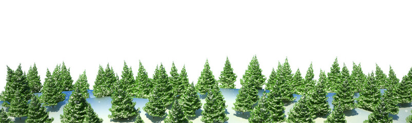 Firtree forest landscape isolated