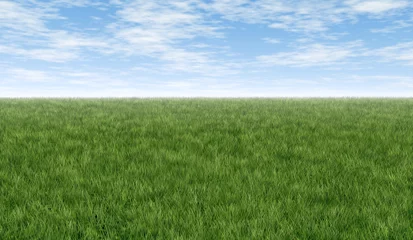 Foto op Plexiglas Groen gras en blauwe lucht © freshidea