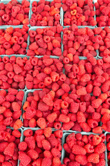 Fresh red raspberries on display