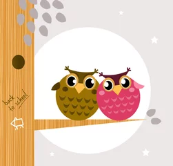 Printed kitchen splashbacks Birds, bees Two cute owl friends sitting on the branch.
