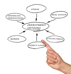 INVESTMENT  OPTIONS