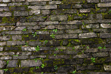 rough brick wall