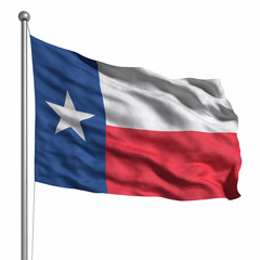 Fototapeta na wymiar Flag of the Texas