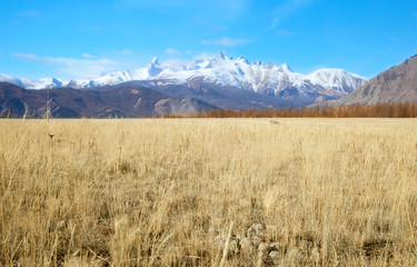 Alpine steppe