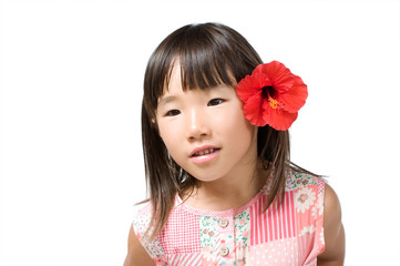 ハイビスカス女子