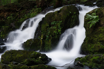 Wasserfall Selke Harz