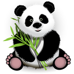 Obraz premium Panda