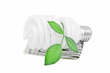 Energy saving light bulb and money and plant on white