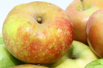 pomme solo