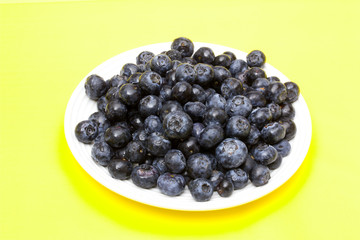 Blueberry
