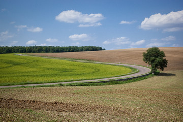 Road through the meadows in France on sunny August day