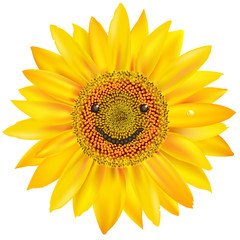 Smiling Sunflower
