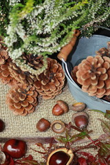 Herbstzauber