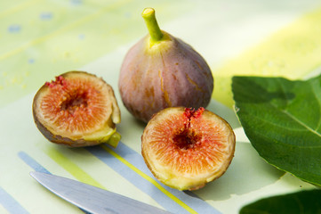 Still life with figs