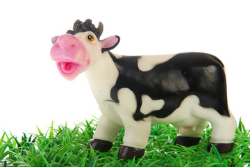 Cow in the grass