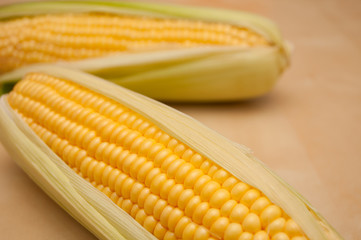 Corn Cobs