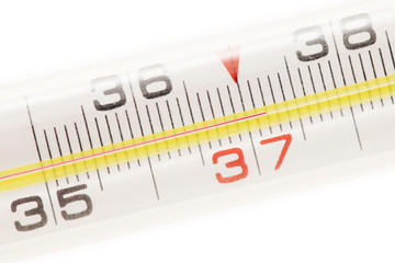 Close-up view on medical thermometer (isolated)