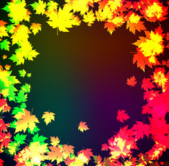 Autumn leaves of a maple. A neon background