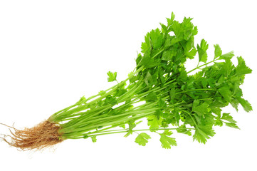 Chinese Celery Isolated On White Background