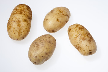 Potato
