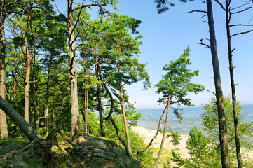 Fototapeta premium Baltic sea coastline.