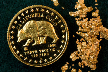 California Gold Coin and Gold Dust