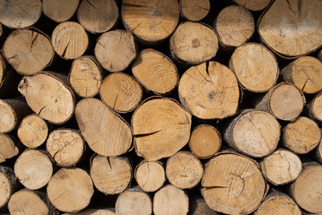 Firewood
