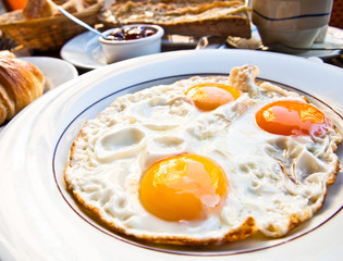 Prepared Egg - prepared egg under the sun