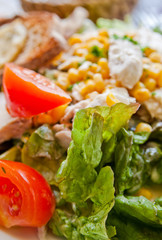 Fresh chicken salad with tomatoes