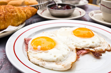 Prepared Egg - prepared egg under the sun