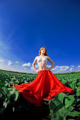 Fototapeta premium Beautiful girl in a field