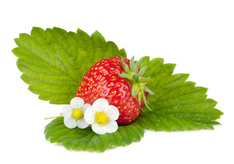Strawberry fruits with green leaves and flowers
