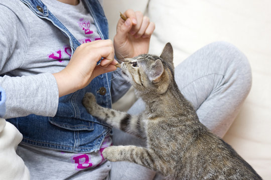 A Child Feeding Kitten