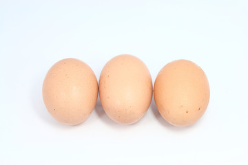 egg