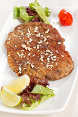Grilled steak meat with salad