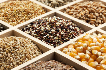 variety of grains and seed in a box