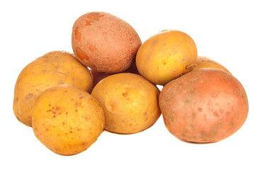 Potatoes isolated over white background