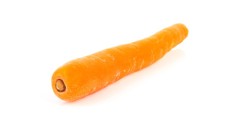 one fresh carrot over white background