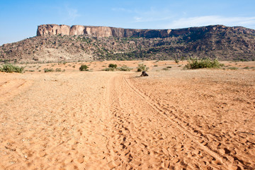 Desert at the base of the cliff, Mali (Africa)